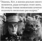 Прикрепленное изображение: В жизни реально много моментов, ради которых хочется жить, но между ними хочется подохнуть несколько раз подряд.jpg