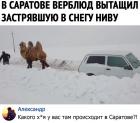 Прикрепленное изображение: Какого хуя у вас там происходит в Саратове.jpg