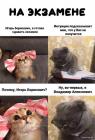 Прикрепленное изображение: 1611908558.jpg