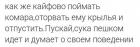 Прикрепленное изображение: Как же кайфово оторвать комару крылья и отпустить (пусть подумает о своём поведении).jpg