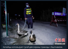 Прикрепленное изображение: Screenshot_2.png