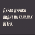 Прикрепленное изображение: Дурак дурака видит на каналах ВГТРК.png