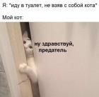 Прикрепленное изображение: Предатель кота.jpg