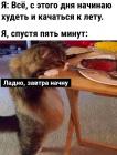 Прикрепленное изображение: Котик начнет завтра.jpg