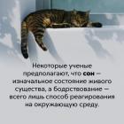 Прикрепленное изображение: Сон - изначальное состояние.jpg