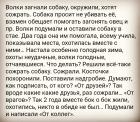 Прикрепленное изображение: От коллег.jpg