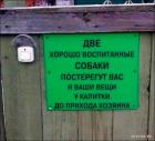 Прикрепленное изображение: Две хорошо воспитанные собаки.jpg