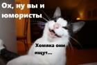 Прикрепленное изображение: veseloe-kotye_19438.jpg