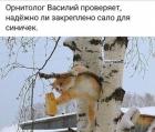 Прикрепленное изображение: 1674289727.jpg