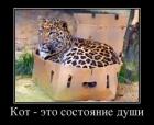 Прикрепленное изображение: 1674660740.jpg