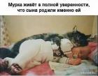 Прикрепленное изображение: 1674810337.jpg