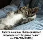 Прикрепленное изображение: Работа облагораживает.jpg