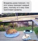 Прикрепленное изображение: 1704789620.jpg