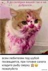 Прикрепленное изображение: 1704703480.jpg