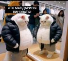 Прикрепленное изображение: 1704483204.jpg