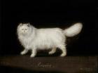 Прикрепленное изображение: Francis_Sartorius_I_(1734-1804)_-_'Psyche',_a_White_Persian_Cat_-_1449066_-_National_Trust.jpg