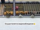 Прикрепленное изображение: Видеонаблюдение.jpg