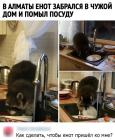 Прикрепленное изображение: 1736878559.jpg