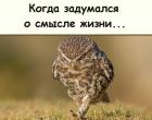 Прикрепленное изображение: 1737295116.jpg