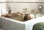 Прикрепленное изображение: spa.jpg