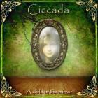 Прикрепленное изображение: Ciccada___A_Child_In_The_Mirror__2010__front.jpg