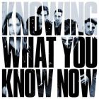 Прикрепленное изображение: Marmozets-Knowing-What-You-Know-Now.jpg