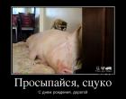 Прикрепленное изображение: 70255660d11d.jpg