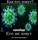 Прикрепленное изображение: Коронавирус - его не зовут, он сам приходит.jpg