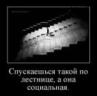 Прикрепленное изображение: Спускаешься, такой, по лестнице - а она социальная.jpg