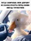 Прикрепленное изображение: 1612513076.jpg