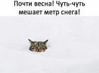 Прикрепленное изображение: 1612896432.jpg