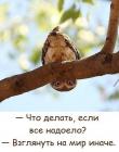 Прикрепленное изображение: 1612536798.jpg
