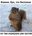 Прикрепленное изображение: 1612525490.jpg