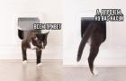 Прикрепленное изображение: 6.jpg