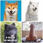 Прикрепленное изображение: 1644566948.jpg