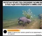Прикрепленное изображение: 1644134801.jpg
