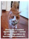 Прикрепленное изображение: 1643950302.jpg
