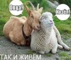 Прикрепленное изображение: 1677230862.jpg
