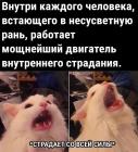 Прикрепленное изображение: Двигатель внутреннего страдания.jpg