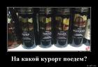 Прикрепленное изображение: На какой курорт поедем.jpg