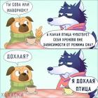 Прикрепленное изображение: Дохлая птица.jpg