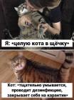 Прикрепленное изображение: 1739337003.jpg