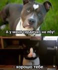 Прикрепленное изображение: poshlyj-yumor_66532.jpg