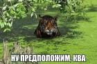 Прикрепленное изображение: Предположим, ква.jpg