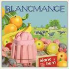 Прикрепленное изображение: Blancmange2011.jpg