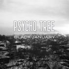 Прикрепленное изображение: PsychoTree2013.jpg