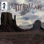 Прикрепленное изображение: buckethead-monument-valley-2014-320.jpg