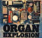 Прикрепленное изображение: Organ Explosion 2014.jpg