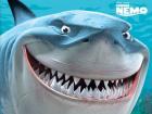 Прикрепленное изображение: Finding-Nemo-Bruce-the-Shark-Wallpaper-finding-nemo-6615914-500-375.jpg