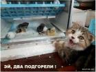 Прикрепленное изображение: 1615710574.jpg